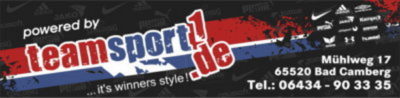 Logo Teamsport
